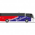 viracopos bus service